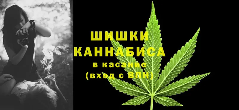 купить наркотик  Дагестанские Огни  Бошки марихуана SATIVA & INDICA 